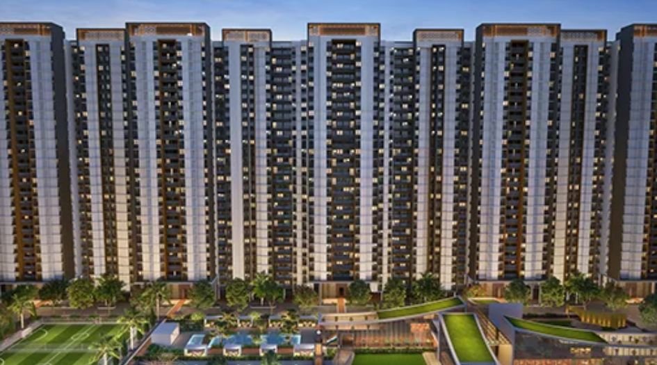 Gini-Vivante-About-Us