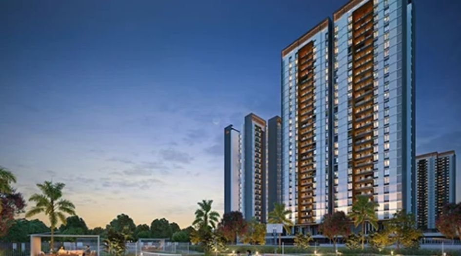 Gini-Vivante-Banner-1