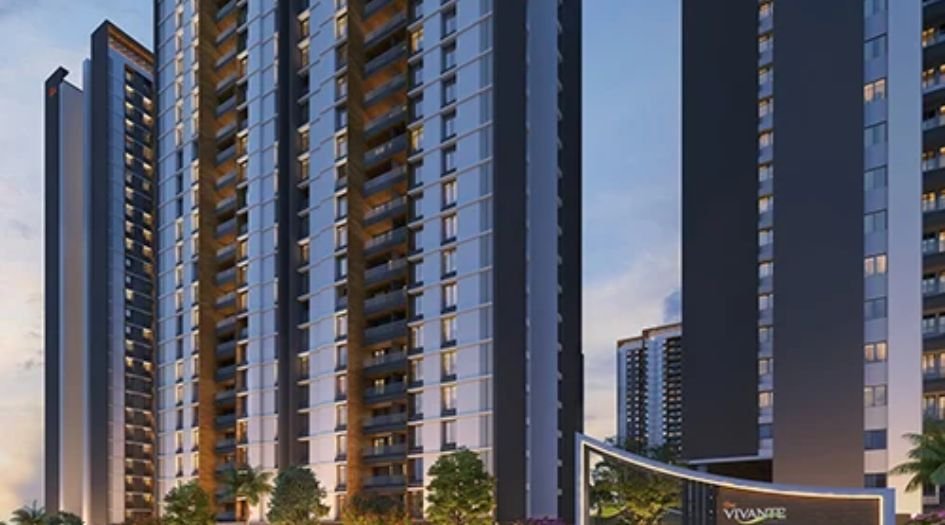 Gini-Vivante-Gallery-Elevation